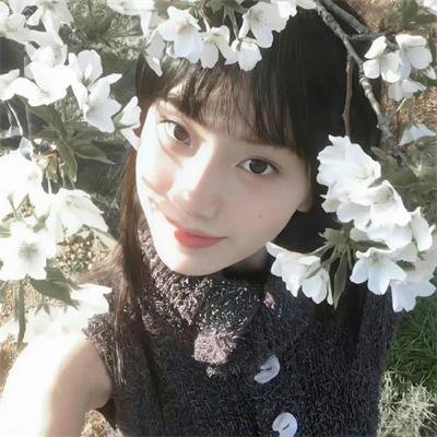 天降萌孙被团宠了